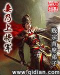 妻乃上将军封面